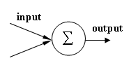 function of neurons